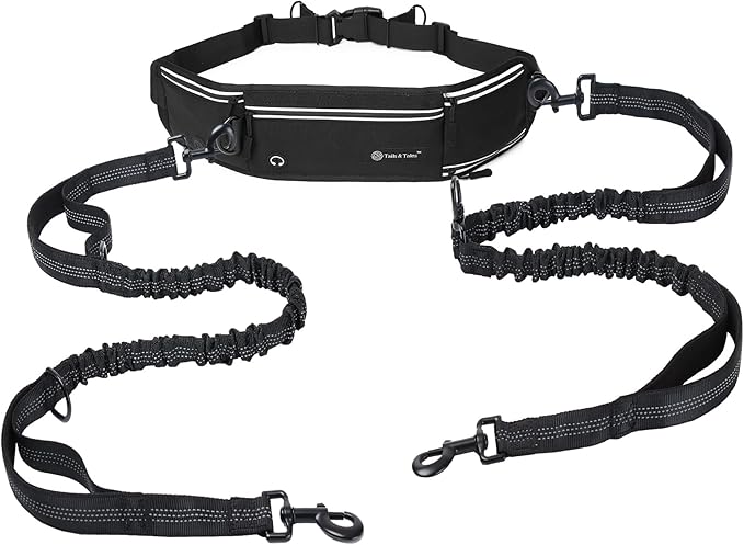 Tails & Tales Hands Free Dog Leash with Waist Pouch, Lumbar Support Upgraded, Bungee Reflective Leash, Adjustable Belt 25-55", Walking Running Hiking Training for Dogs Up to 125lbs (Black, Two Dogs)