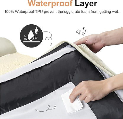 Large Dog Bed Orthopedic Washable: Beds Bolster XXL Bed Big XLarge Dogs Egg Crate Foam Sofa Couch Waterproof Removable Cover - Beige