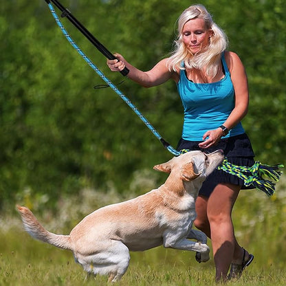 Flirt Pole for Dogs Heavy Duty,Dog Teaser Pole for Small Medium & Large Dogs,Interactive Outdoor Dog Toy with Replaceable Nylon Rope,Perfect for Jumping, Chasing,Tugging, Training & Play