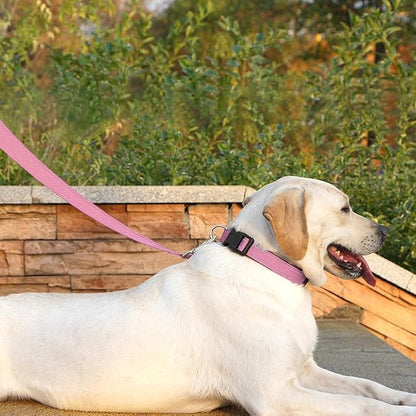Dog Leash 6 FT Padded Handle Nylon Reflective Dogs Leashes for Medium Dogs Pink