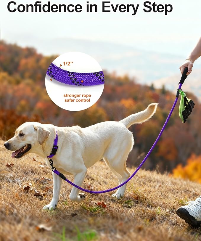 Joytale Dog Leash for Large Dogs, Heavy Duty Nylon Leashes with Comfortable Padded Handle and Highly Reflective Threads, Ideal for Walking and Training, Purple, 5'×1/2''