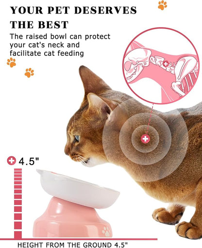 Y YHY Ceramic Slow Feeder Cat Bowl, Elevated Cat Bowl Tilted Design Slow Feeder for Dog and Cat for Dry and Wet Food, Pink