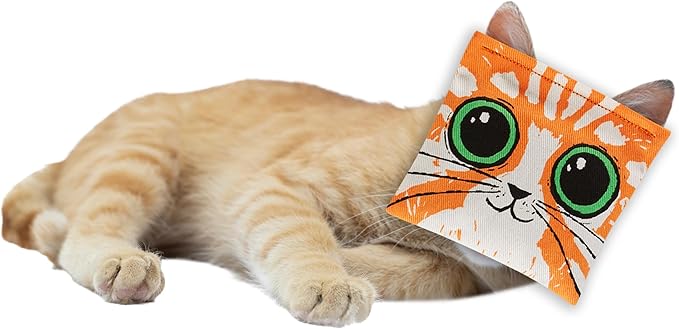 Blue Q Kitty's First Bong Rip Catnip Toys - Durable Cat Toys for Biting, Premium USA-Grown Organic Catnip, Pet Supplies, 100% Silk-Screened Cotton Pouch w/Funny Kitty Graphics, Cat Birthday Gift