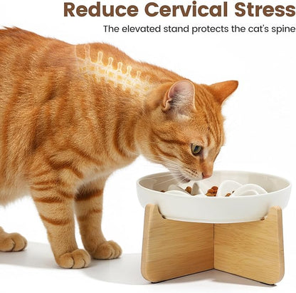 PETTOM Slow Feeder Cat Bowl with Stand, Ceramic Slow Eating Cat Bowl with Higher Edges, Elevated Cats Food Bowls for Dry and Wet Food Anti-Vomiting Puzzle Feeder for Healthy Eating Diet