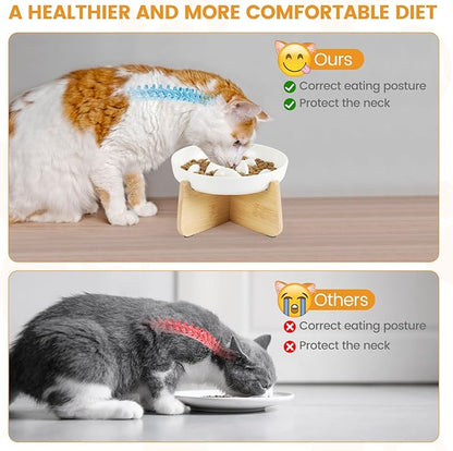 PETTOM Slow Feeder Cat Bowl with Stand, Ceramic Slow Eating Cat Bowl with Higher Edges Fish Pool Design Elevated Food Bowls for Dry and Wet Food Anti-Vomiting Puzzle Feeder for Healthy Eating Diet