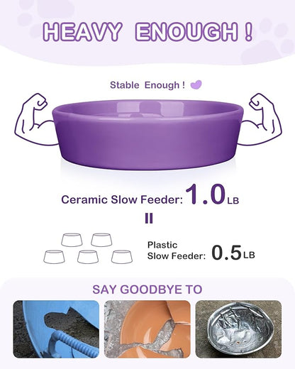 TRUVIC Ceramic Slow Feeder Dog Bowls Small Breed, 0.6 Cup Slow Feeder Cat Bowls for Fast Eaters, Ceramic Dog Food Dish no Black Chin, Puzzle Bowl for Small Dogs and Cats, Purple