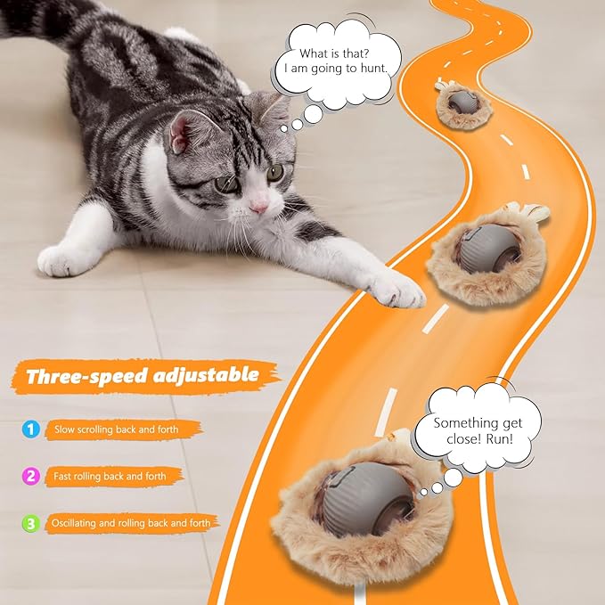 Cat Toys Pack, Interactive Cats Toys for Indoor Cat, Speedy Tail 2.0 Cat Toy, Teaser Feather Mouse Toy for Kittens (22PCS)