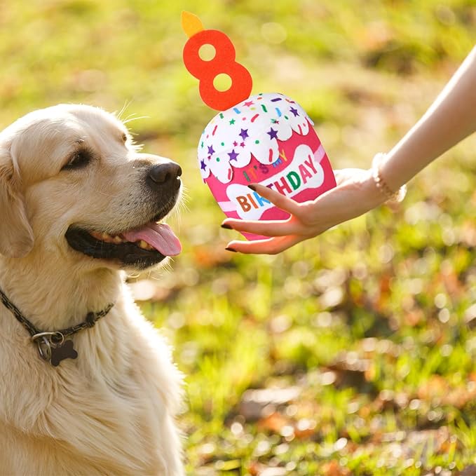 Dog Birthday Cake Toy Accessories for Girl Boy Gifts, Squeaky Plush Toy for Dog Birthday Party Decor Favor for Large, Medium and Small Dogs(8th,Pink)