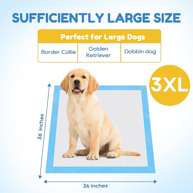 JollyMate Dog Pee Pads Extra Large 36"x36" ,100 Pack 3X-Large Super Absorbent Pet Training Pads with Adhesive Tabs, 6 Layers Thick Leak-Proof Potty Pads for Dogs and Puppies