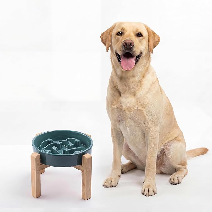 Ceramic Slow FeederDog Bowl for Medium Large Dogs,Heavy Weighted,Puzzle Eating Bowl Modern Maze (Stars Mark-Forest Green, 8.66in)