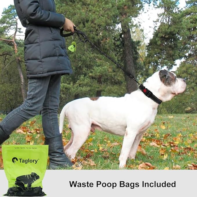 Taglory Rope Dog Leash 4 FT with Comfortable Padded Handle, Highly Reflective Threads Leash and Anti-Tangle Clip for Walking Medium Large Dogs, 1/2 inch, Black