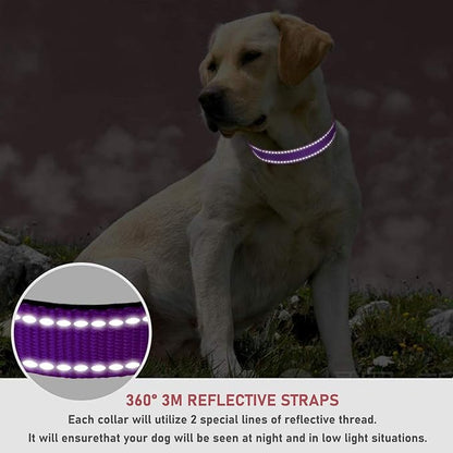 Reflective Dog Collar with Buckle Adjustable Safety Nylon Collars for Small Medium Large Dogs, Purple XL