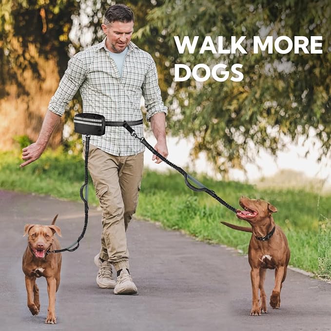 Hands Free Dog Leash, Double Dog Leash with Waist Bag, Double Padded Handles, Dog Walking Running Accessory, (Large, 26-120 lbs)
