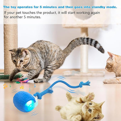 Interactive Cat Toys: Agile Moving Ball with Elastic Mesh Tail for Indoor Cats and Kittens