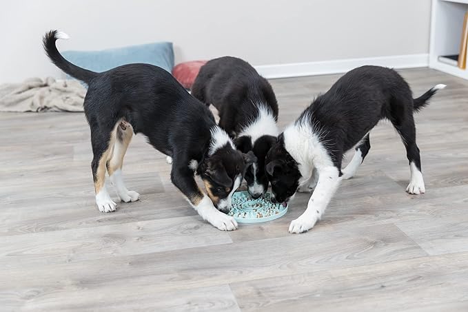 TRIXIE Junior Licking Mat 8 in, Pet Slow Feeder, For Dogs and Cats