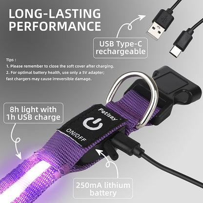 LED Dog Collar for Small Dogs & Toy Breeds – USB-C Rechargeable Light Up Dog Collar, Fully Waterproof Adjustable Glow Collar for Night Walking & Safety(Purple,S)
