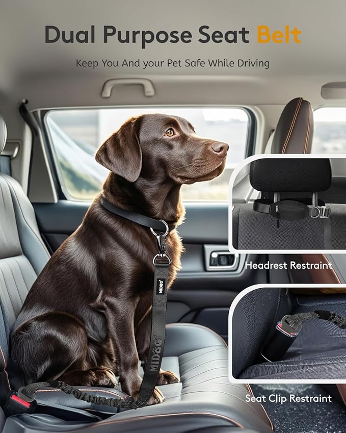 MIDOG Multifunctional Dog Leash Hands Free for Large Dogs - Adjustable Waist Leash with Zipper Pounch& Bungee Cord for Jogging/Running/Walking(4-7FT,Black)