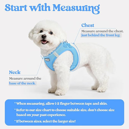 rabbitgoo Dog Harness Small Medium Sized and Leash Set, Step in Soft Light Puppy Vest, Breathable Mesh Pet Harness, Reflective for Safe Easy Walking, Blue L