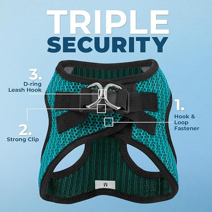 Best Pet Supplies - All Weather Mesh/Plush, Reflective, No Pull Harness for Small, Medium Dogs, Cats - Secure with Hook & Loop Fastener, Buckle, Double D-Rings - Turquoise 2-Tone, M