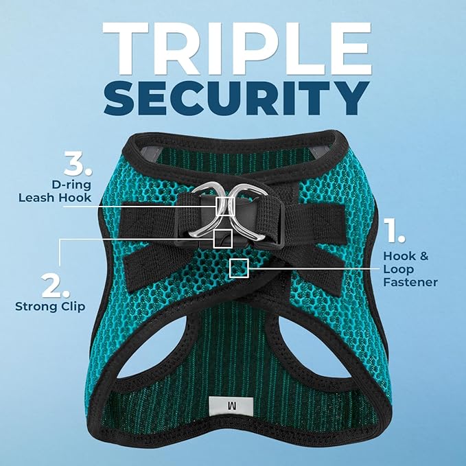 Voyager Step-in Air Dog Harness - All Weather Mesh, Reflective, No Pull Harness for Small, Medium Dogs, Cats - Secure with Hook & Loop Fastener, Buckle, Double D-Rings - Turquoise 2-Tone, XS