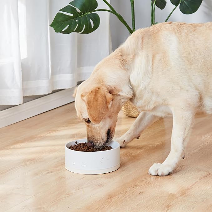 Oslo Ceramic Dog Bowl - 6'' Dog Food Water Bowl for Medium and Large Dogs, Heavy Duty Non-Slip Dog Dish, Modern Scandi-Style Stoneware Pet Feeder Bowl, Dishwasher Safe (30Oz, White)