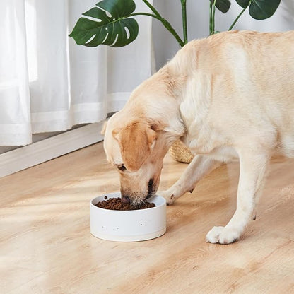 Oslo Ceramic Dog Bowl - 6'' Dog Food Water Bowl for Medium and Large Dogs, Heavy Duty Non-Slip Dog Dish, Modern Scandi-Style Stoneware Pet Feeder Bowl, Dishwasher Safe (30Oz, White)