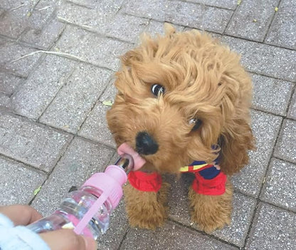 Choco Nose Patented Portable No-Drip Travel Water Bottle/Feeder for Dogs/Puppies/Cats/Rabbits and Other Small Sized Animals -8 oz. Leak-proof Nozzle 16mm, Pink (H258)