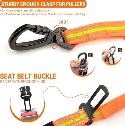 Heavy Duty Dog Leash and LED Light Set, LED Light with Nylon Stickers, Universal Glowing Accessories Easy to Attach Collar Leash and Harness, Safety LED Light Up Band for Dogs at Night Walking