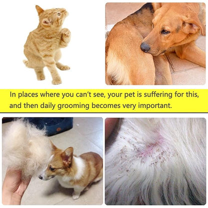 Lice Comb Flea Comb For Cats Dog Pet Comb Set Metal Fine Tooth Remove Tear Marks Float Hair Dandruff (B)