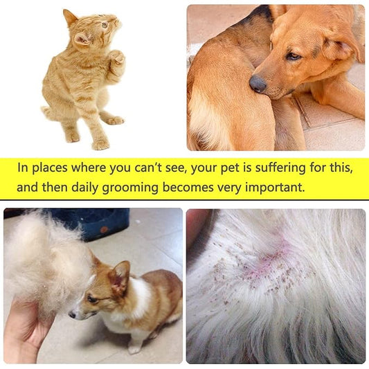 Lice Comb Flea Comb For Cats Dog Pet Comb Set Metal Fine Tooth Remove Tear Marks Float Hair Dandruff (B)