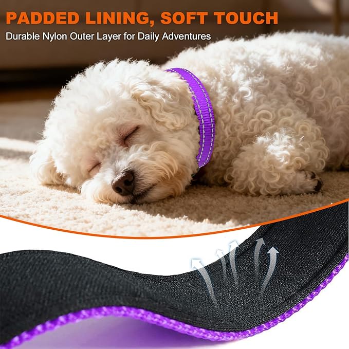 Taglory Reflective Dog Collar with Safety Locking Buckle, Soft Neoprene Padded Dog Collar for Puppy Dogs, Metal D-Ring, Adjustable Nylon Neck Strap for Daily Walking, Training & Running, Purple, XS