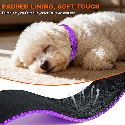 Taglory Reflective Dog Collar with Safety Locking Buckle, Soft Neoprene Padded Dog Collar for Puppy Dogs, Metal D-Ring, Adjustable Nylon Neck Strap for Daily Walking, Training & Running, Purple, XS
