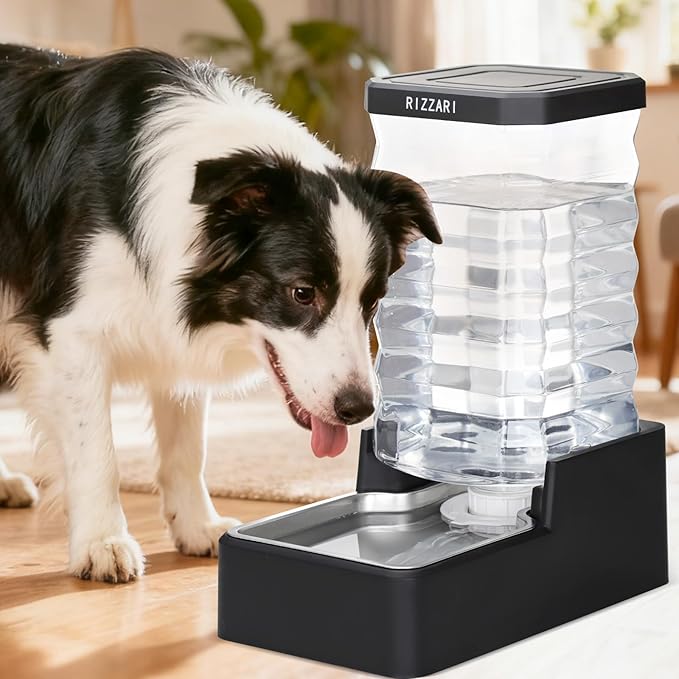 RIZZARI Stainless Steel Pet Water Dispenser: 10L Large Gravity Waterer - Splash-Resistant - Leak-Proof Auto Refill - Easy Clean - for Large Dogs - Living Room/Crate Area/Mudroom