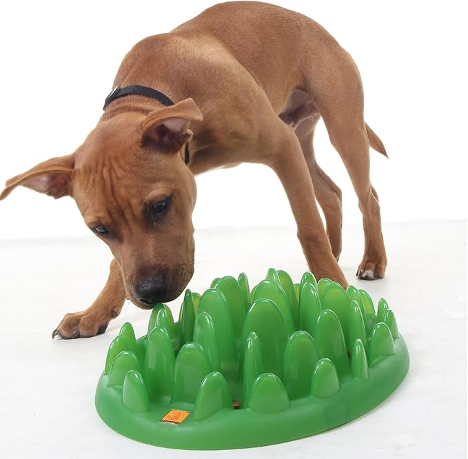 Company of Animals GREEN Slow Interactive Feeder for Dogs, Size Large, Best Fun Slow Feeder Dog Bowl, Anti-Gulp, Gobble Stopper, Mental Stimulation Dog Puzzle, Suitable for Small, Medium & Large Dogs