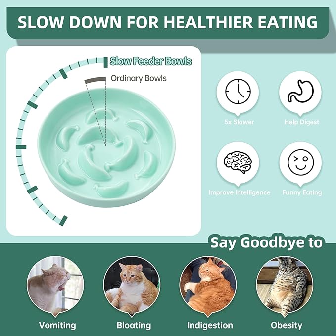 Cat Slow Feeder Bowl Set - 2 Pcs Ceramic Cat Food Plates for Slow Eating - Double Cat Dish for Dry Wet Food - Slow Feeding Cat Bowls Whisker Friendly - Microwave and Dishwasher Safe - Blue and Green