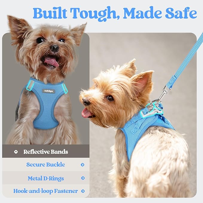 rabbitgoo Dog Harness Small Sized and Leash Set, Step in Soft Light Puppy Vest, Breathable Mesh Pet Harness, Reflective for Safe Easy Walking, Blue S