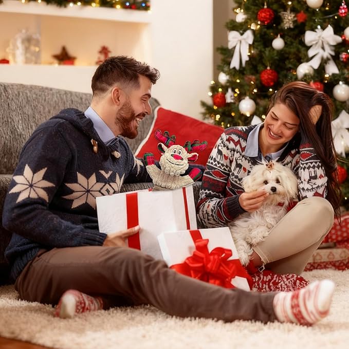 LWBMG Squeak Christmas Dog Toys Plush Dog Toy with Crinkle Paper Tug of War Pull Interactive Dog Toys for Aggressive Chewers Cute Stuffed Animal Dog Toy for Puppies Small Medium and Large Dogs