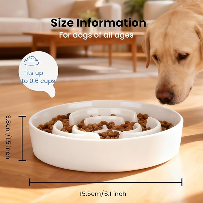 Ceramic Slow Feeder Dog Bowls,0.6 Cups Slow Feeder for Medium Large Breed,Puzzle Dog Food Bowl to Slow Down Eating, Anti-Gulping, Stop Bloat,Preventing Choking,6in,White