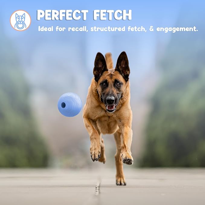 Foam Fetch Ball for Dogs – Durable EVA Foam Dog Ball, Interactive Chew Toy for Dogs, Lightweight Floating Ball for Water, Pool & Outdoor Fetch Games (Blue, Large)