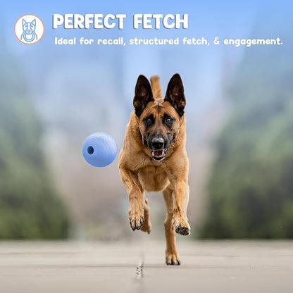 Foam Fetch Ball for Dogs – Durable EVA Foam Dog Ball, Interactive Chew Toy for Dogs, Lightweight Floating Ball for Water, Pool & Outdoor Fetch Games (Blue, Large)