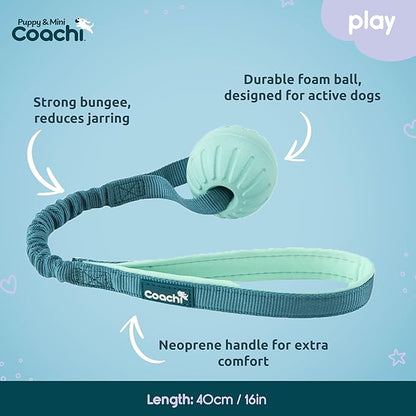 Coachi Puppy & Mini Tuggi Ball - Lightweight, Tough Dog Toy, Stretchy Bungee Handle, Reward Training, Agility, Recall, Interrupt Biting & Chewing, Suitable for Small Dogs & Puppies
