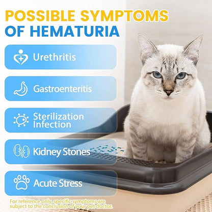 NEWORD Health Monitoring Crystal Cat Litter Test - Color-Changing Silica Gel Litter for Hematuria & Cat Urine Irregularities Detection, Non-Clumping Litter (8 LB Bag)