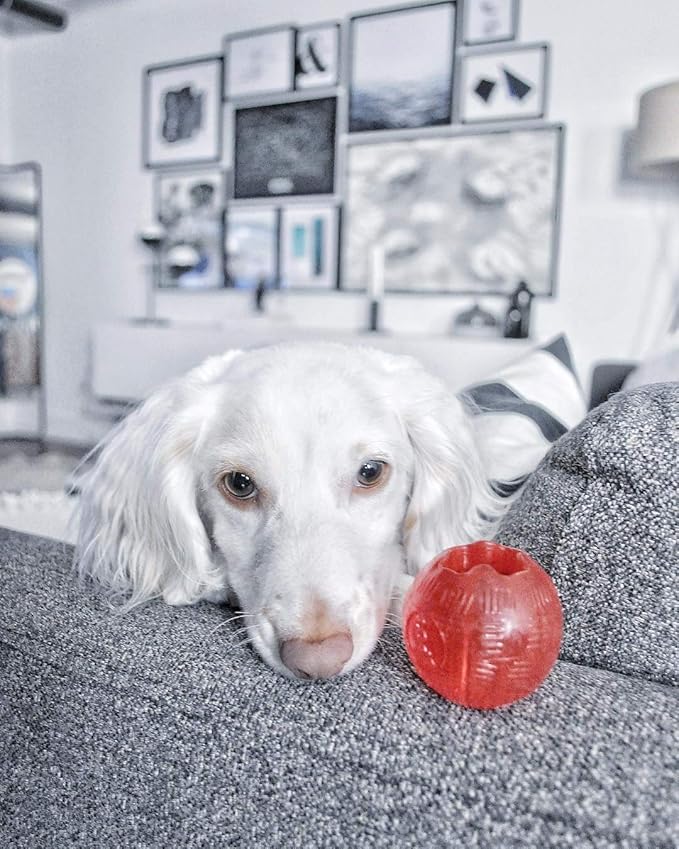 SPOT Play Strong Ball - Durable TPR Ball, Long Lasting Dog Toy for Aggressive Chewers, Hollow Center to Hide Treats, Virtually Indestructible Dog Toy for Dogs & Puppies up to 60lbs - 3.25 inch