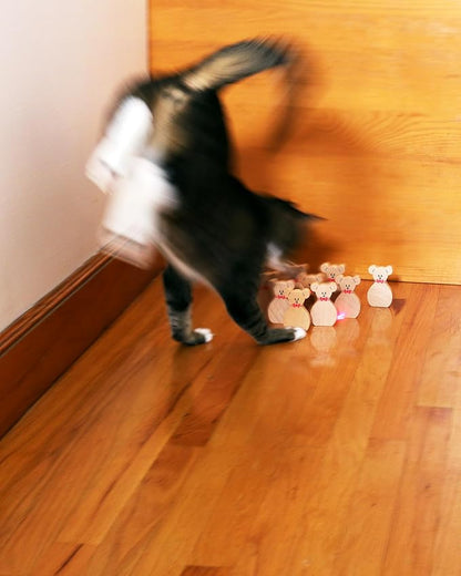 Terrarium Cat Bowling Game for Cats with 10 Wooden Pins and Laser Pointer