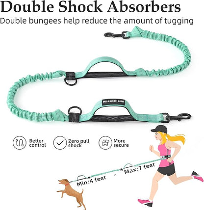 Mile High Life Hands Free Leash, Waist Leash for Dog Running Training and Jogging, Adjustable Belt with Double Padded Handle, Reflective Bungee for Medium Large Dogs (Teal, 7FT)