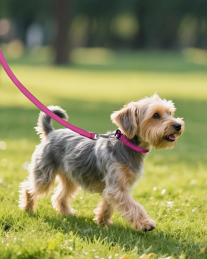 Joytale Dog Collars for Small Dogs, Feather-Light Double-Sided Reflective Nylon Collar for Night Safety, Adjustable Quick-Release for Growing Puppies, Hotpink, S (5/8" Width)
