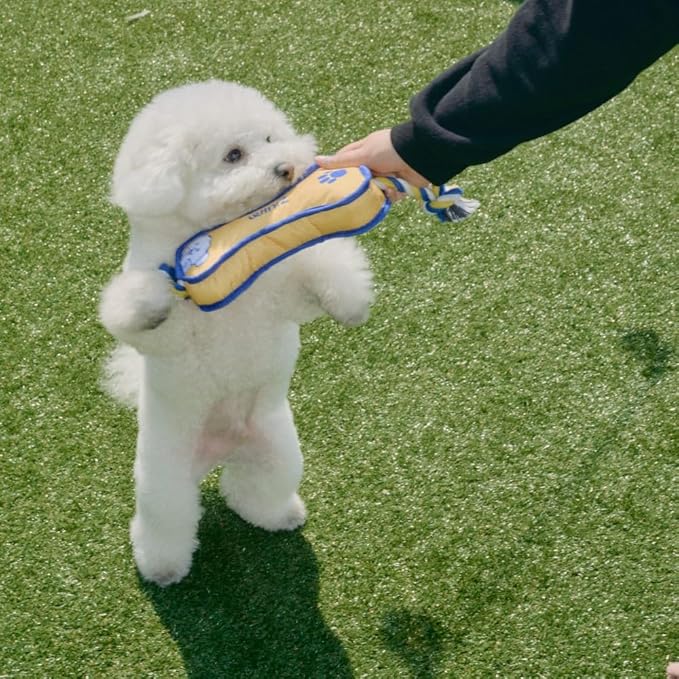 Durable Dog Toy – Interactive Chew Toy – Multiple Styles & Sizes Bone M