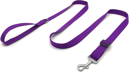 TAIAN Adjustable Nylon Dog Leash, 6 Foot Long Dog Leashes for Medium Large Dogs