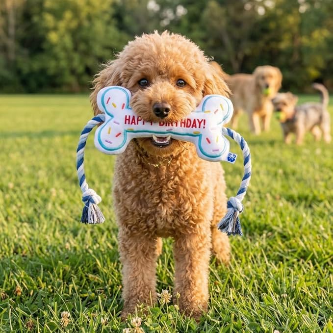 PAWTY Birthday Bone Dog Toy - Funny Interactive Tug Rope Squeaky Dog Birthday Gift - Plush White Bone Toy for Small Medium Dogs - Dog Birthday Party Supplies