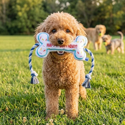 PAWTY Birthday Bone Dog Toy - Funny Interactive Tug Rope Squeaky Dog Birthday Gift - Plush White Bone Toy for Small Medium Dogs - Dog Birthday Party Supplies